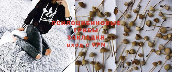 дмт Костерёво