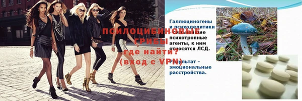 дмт Костерёво
