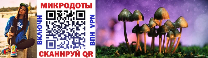 Галлюциногенные грибы Psilocybe  где можно купить   Североуральск 